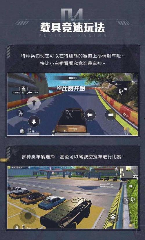 和平精英最新爆料2,全新爆料揭示游戏革新升级，战火再燃！